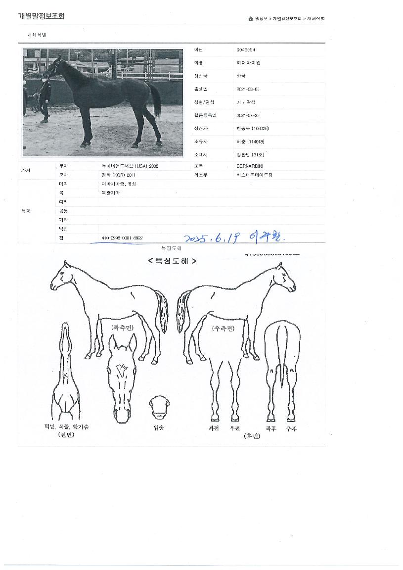 È÷¾î¾ÆÀÌ¿¥ÀÇ Ãø¸é,¿ì¸é,µÞ¸é,µÎ»ó,´Ù¸®ÀÇ Æ¯Â¡µµÇØ