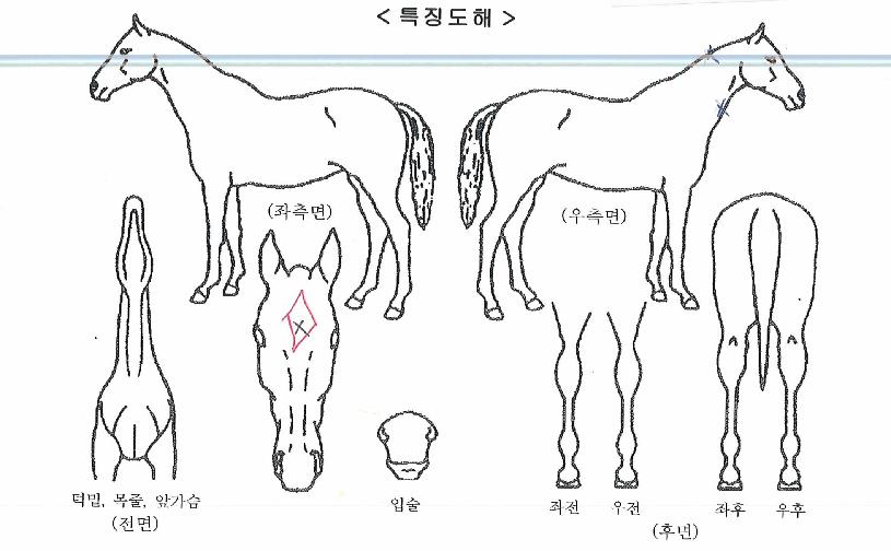 ���������� ����,���,�޸�,�λ�,�ٸ��� Ư¡����