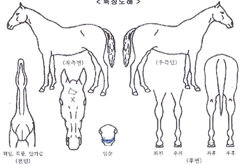 ���Ϳ���ī�� ����,���,�޸�,�λ�,�ٸ��� Ư¡����