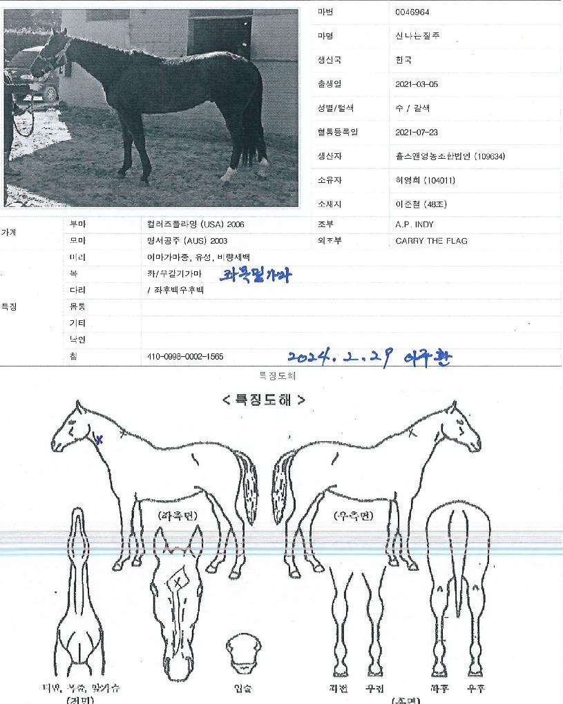 �ų��������� ����,���,�޸�,�λ�,�ٸ��� Ư¡����