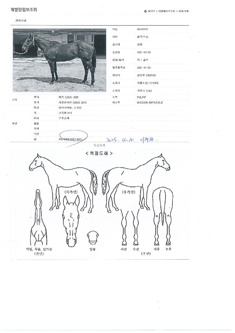 ���������� ����,���,�޸�,�λ�,�ٸ��� Ư¡����