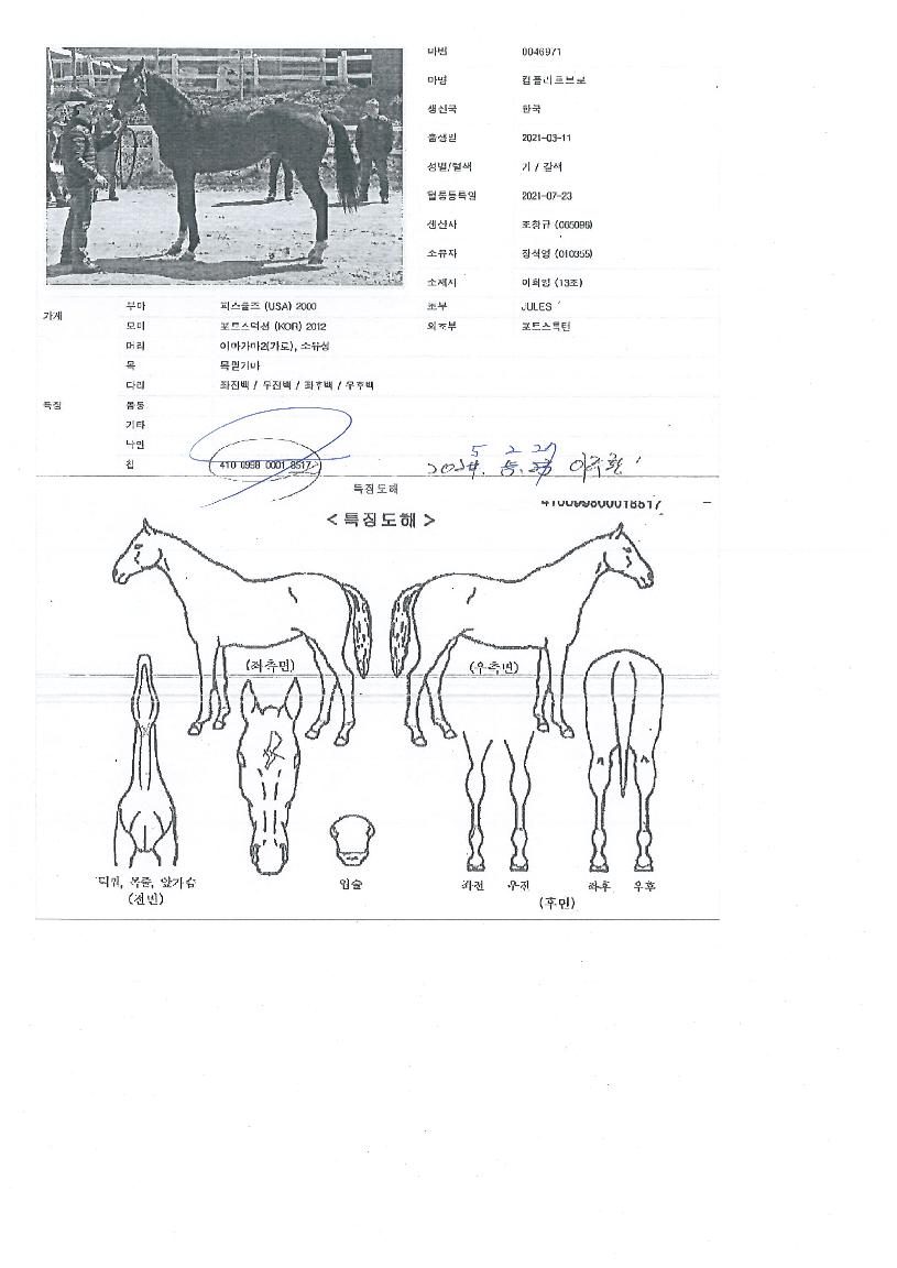 ÄÄÇø®Æ®ºê·ÎÀÇ Ãø¸é,¿ì¸é,µÞ¸é,µÎ»ó,´Ù¸®ÀÇ Æ¯Â¡µµÇØ