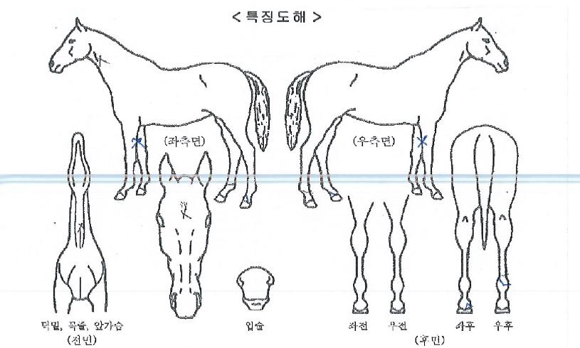 ��ǳ���� ����,���,�޸�,�λ�,�ٸ��� Ư¡����