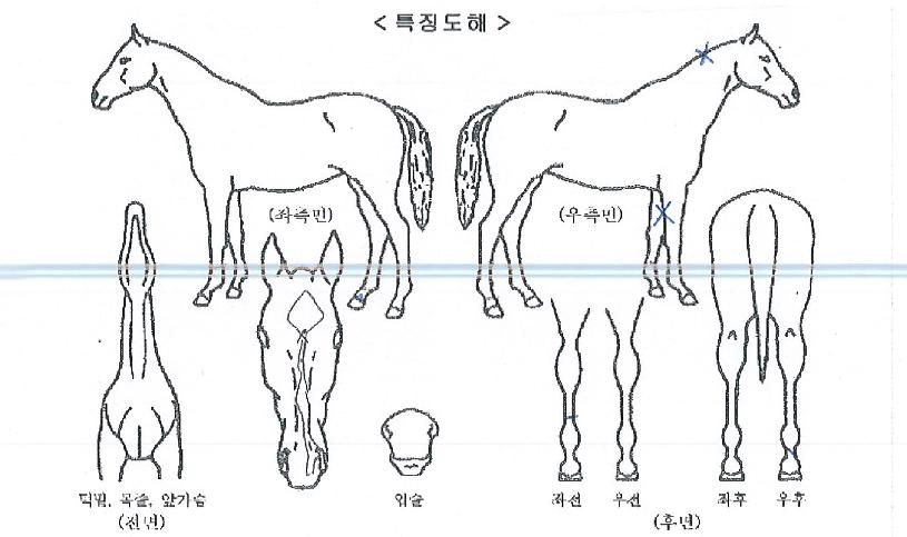 ��ǳ�̼��� ����,���,�޸�,�λ�,�ٸ��� Ư¡����