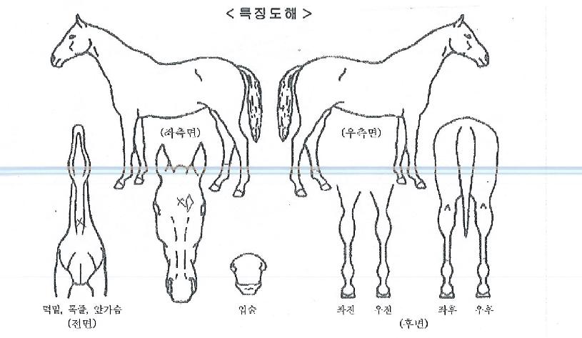 ��ǳ�Լ��� ����,���,�޸�,�λ�,�ٸ��� Ư¡����