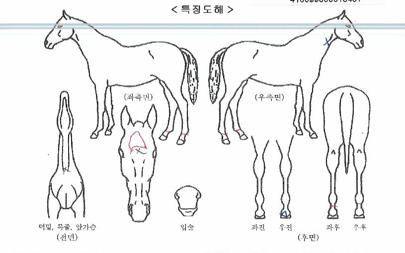 ���ž�÷����� ����,���,�޸�,�λ�,�ٸ��� Ư¡����