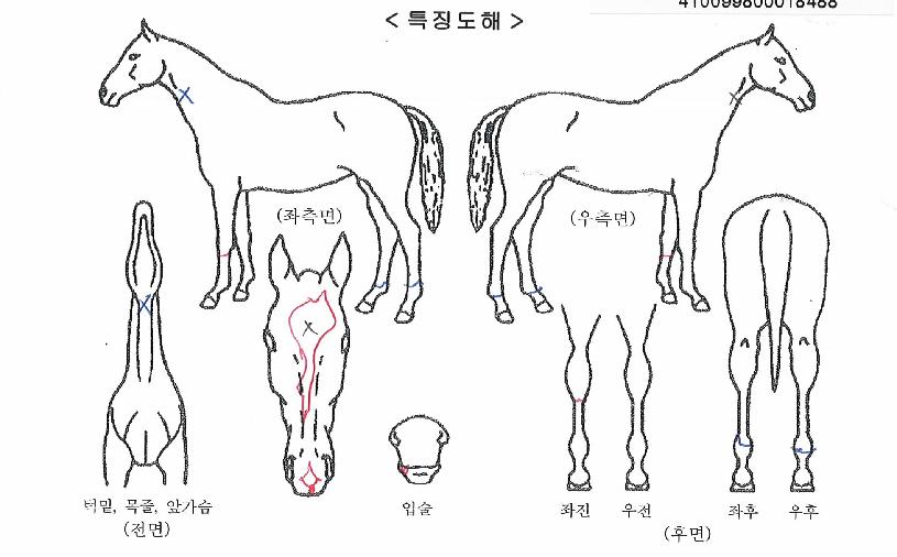 ������������ ����,���,�޸�,�λ�,�ٸ��� Ư¡����