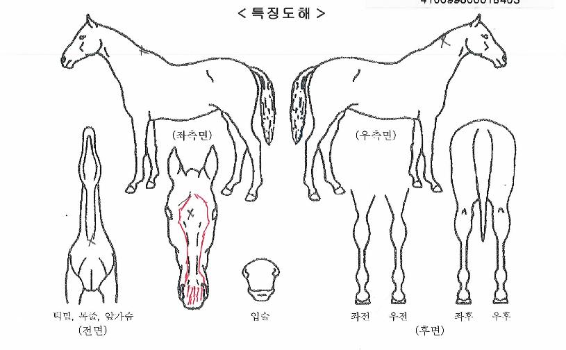 ������Ʈ��Ÿ�ڸ��� ����,���,�޸�,�λ�,�ٸ��� Ư¡����