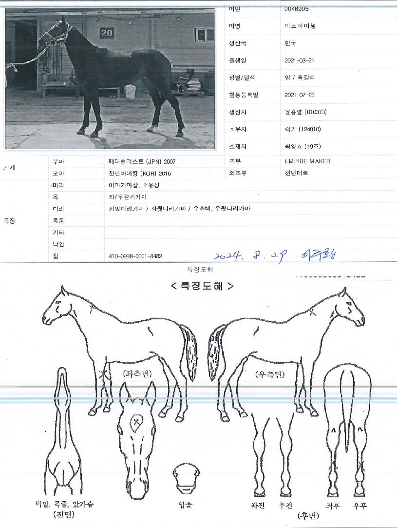 �̽����̳��� ����,���,�޸�,�λ�,�ٸ��� Ư¡����