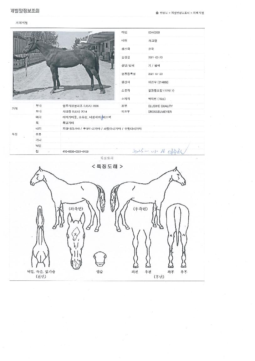 »þÅ©ÅÙÀÇ Ãø¸é,¿ì¸é,µÞ¸é,µÎ»ó,´Ù¸®ÀÇ Æ¯Â¡µµÇØ