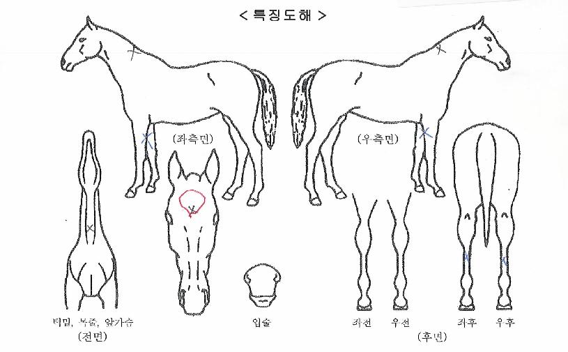 ����Ʈ������ ����,���,�޸�,�λ�,�ٸ��� Ư¡����