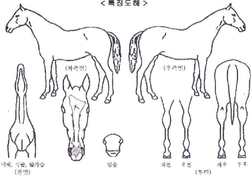 ����Ʈ����� ����,���,�޸�,�λ�,�ٸ��� Ư¡����