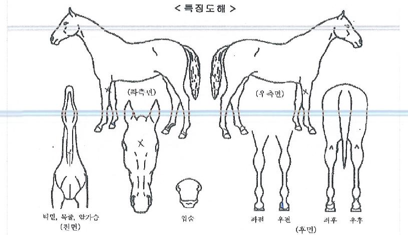 ������������ ����,���,�޸�,�λ�,�ٸ��� Ư¡����