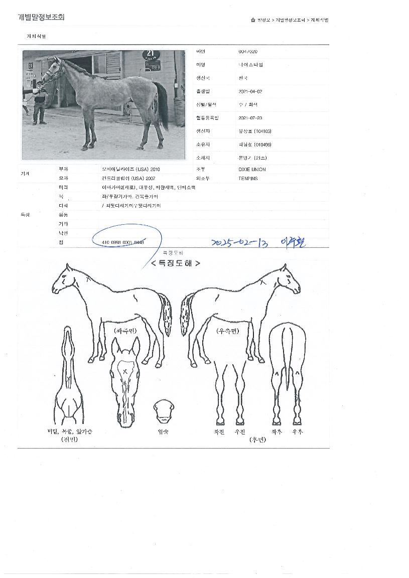 ³ªÀ̽ºÅ¸ÀÓÀÇ Ãø¸é,¿ì¸é,µÞ¸é,µÎ»ó,´Ù¸®ÀÇ Æ¯Â¡µµÇØ