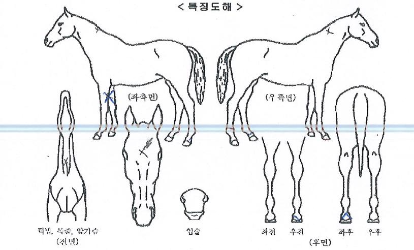 ��Ʈ������ ����,���,�޸�,�λ�,�ٸ��� Ư¡����