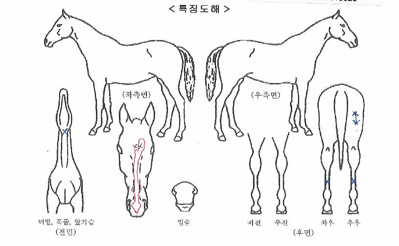 ���ǿ����� ����,���,�޸�,�λ�,�ٸ��� Ư¡����