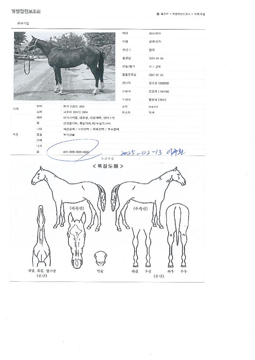 �������� ����,���,�޸�,�λ�,�ٸ��� Ư¡����