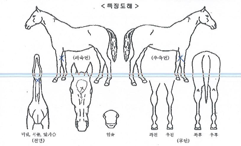 ����ϴ����� ����,���,�޸�,�λ�,�ٸ��� Ư¡����