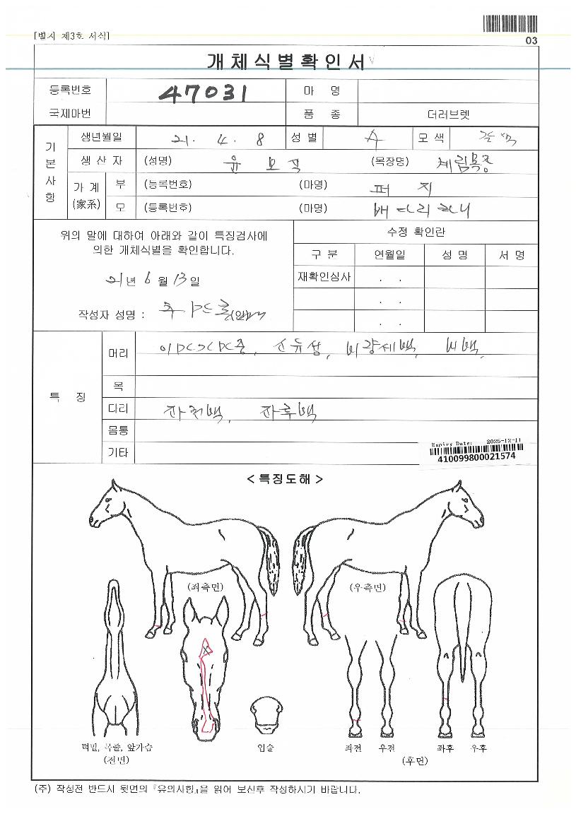 ��ٸ��޺��� ����,���,�޸�,�λ�,�ٸ��� Ư¡����