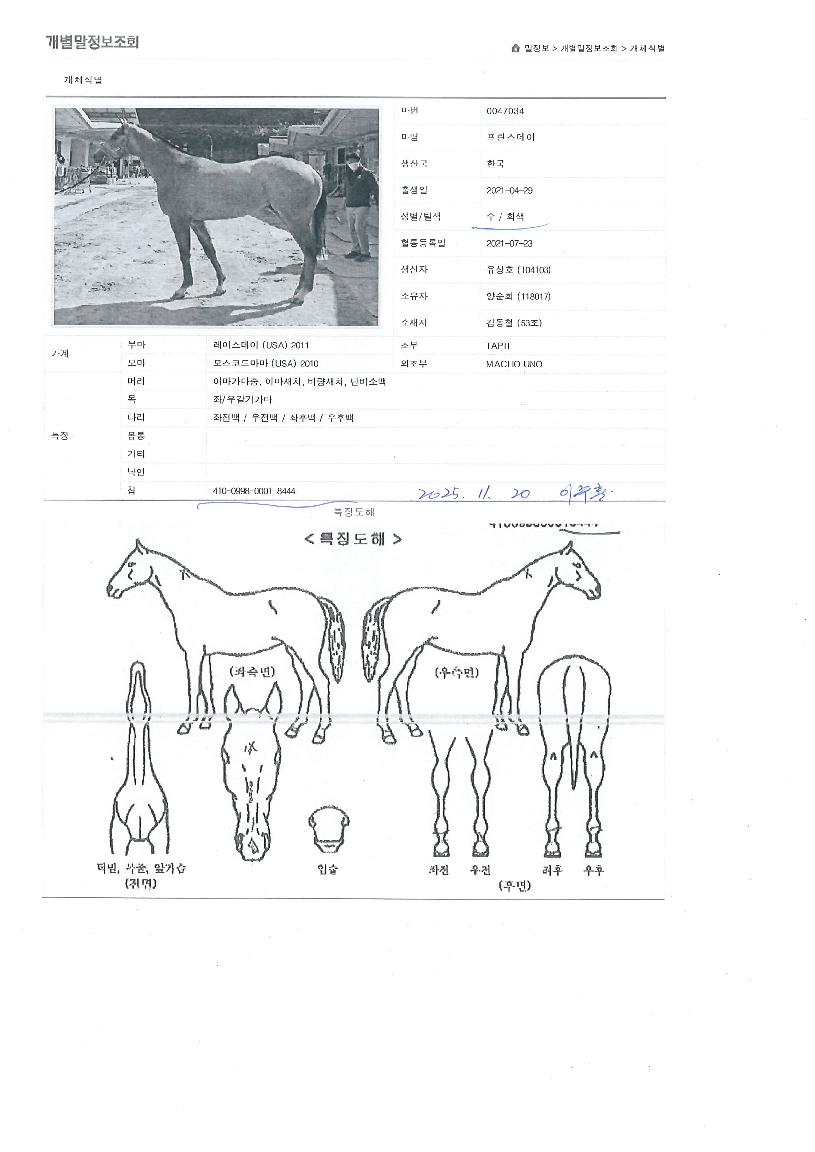 ������������ ����,���,�޸�,�λ�,�ٸ��� Ư¡����