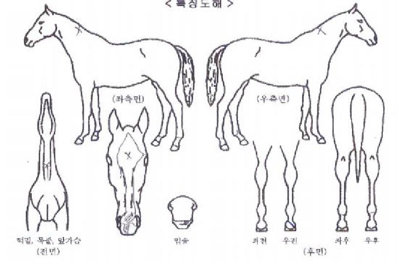 �׹����̳׹��� ����,���,�޸�,�λ�,�ٸ��� Ư¡����