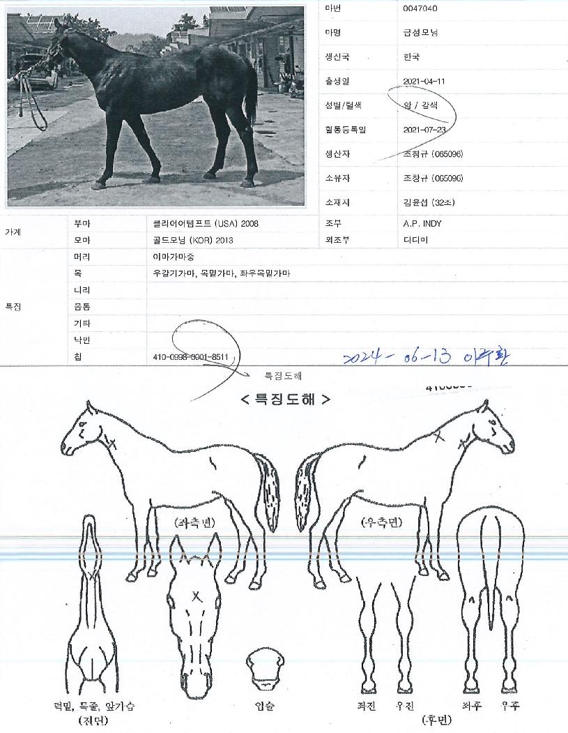 �ݼ������ ����,���,�޸�,�λ�,�ٸ��� Ư¡����