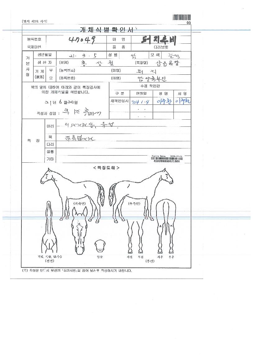 ÆÛÁö·çºñÀÇ Ãø¸é,¿ì¸é,µÞ¸é,µÎ»ó,´Ù¸®ÀÇ Æ¯Â¡µµÇØ