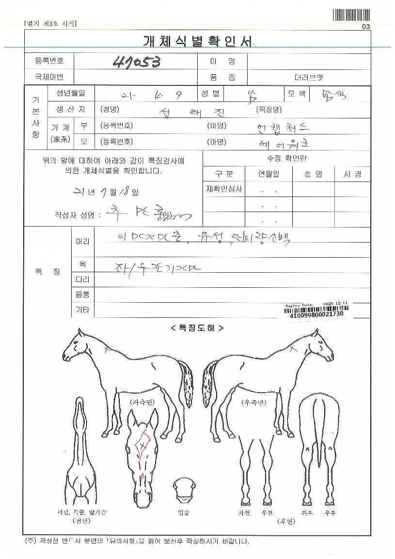 ÇÏÀ̺꿡¾îÀÇ Ãø¸é,¿ì¸é,µÞ¸é,µÎ»ó,´Ù¸®ÀÇ Æ¯Â¡µµÇØ