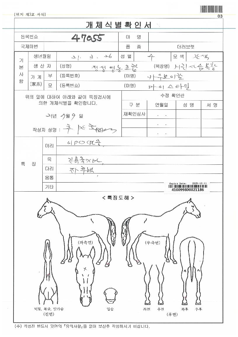 º¼ÄÉÀ̳ë±×¸´ÀÇ Ãø¸é,¿ì¸é,µÞ¸é,µÎ»ó,´Ù¸®ÀÇ Æ¯Â¡µµÇØ