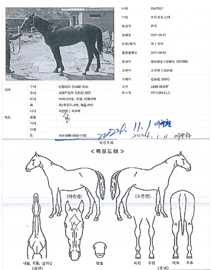 �긮��ŷ��Ÿ�� ����,���,�޸�,�λ�,�ٸ��� Ư¡����