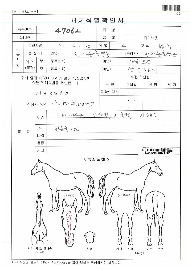 �ö��״������� ����,���,�޸�,�λ�,�ٸ��� Ư¡����