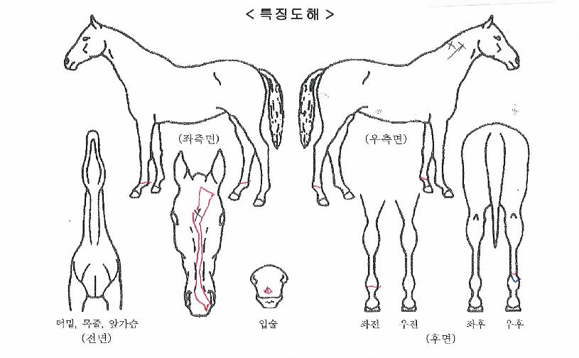 ��溽���� ����,���,�޸�,�λ�,�ٸ��� Ư¡����