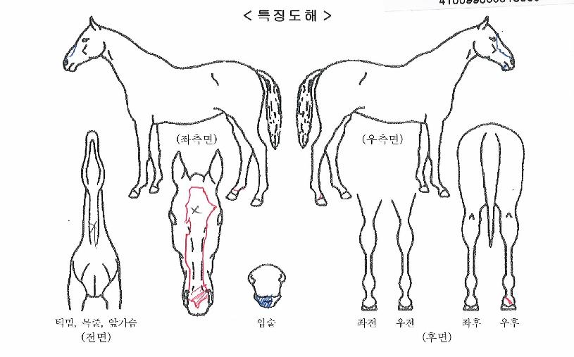 ũ��Ű�� ����,���,�޸�,�λ�,�ٸ��� Ư¡����