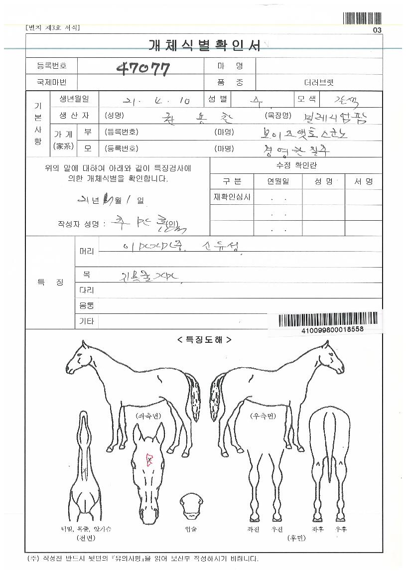 ÇöóÀ×´õ·°Å°ÀÇ Ãø¸é,¿ì¸é,µÞ¸é,µÎ»ó,´Ù¸®ÀÇ Æ¯Â¡µµÇØ