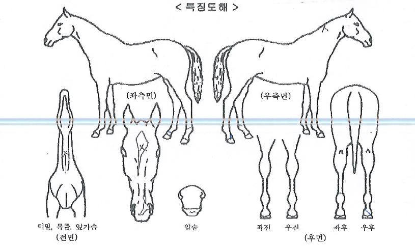 ������������ ����,���,�޸�,�λ�,�ٸ��� Ư¡����