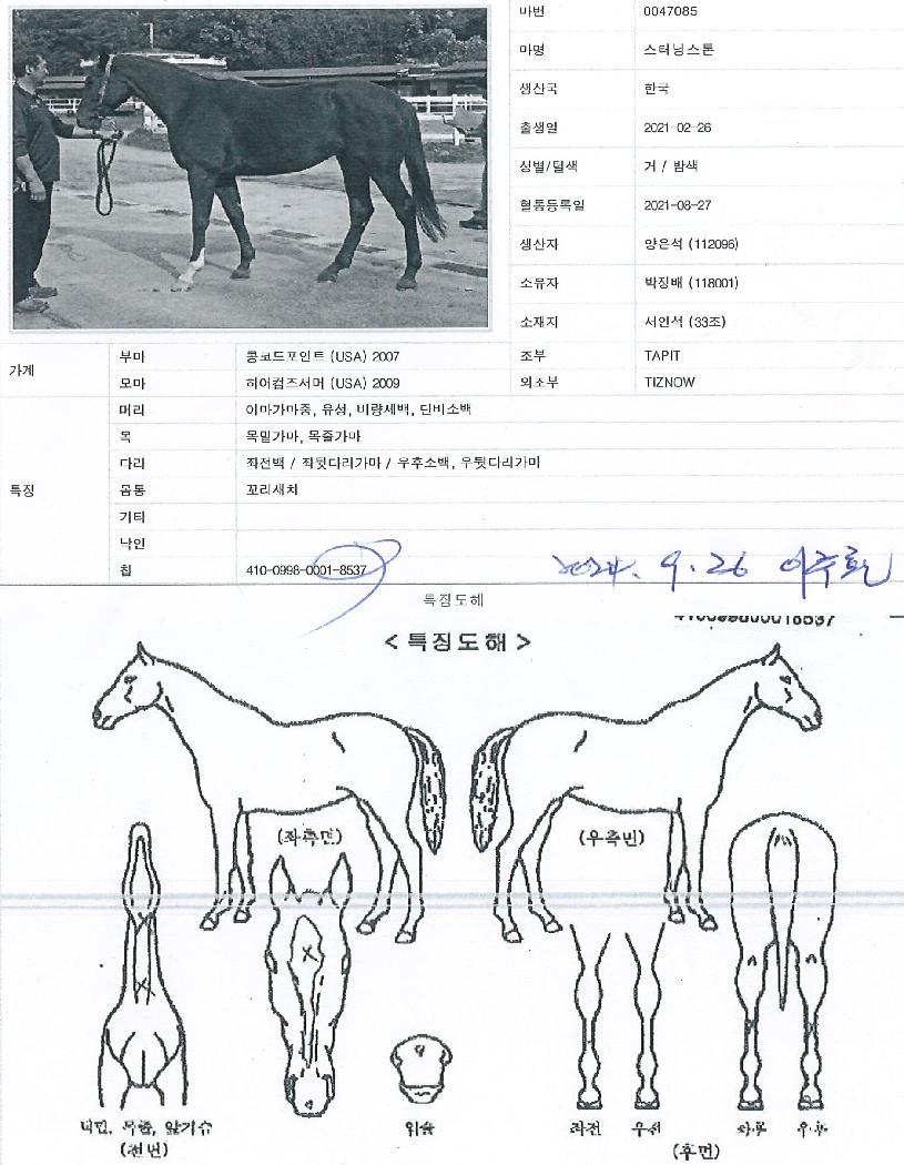 ½ºÅÍ´×½ºÅæÀÇ Ãø¸é,¿ì¸é,µÞ¸é,µÎ»ó,´Ù¸®ÀÇ Æ¯Â¡µµÇØ