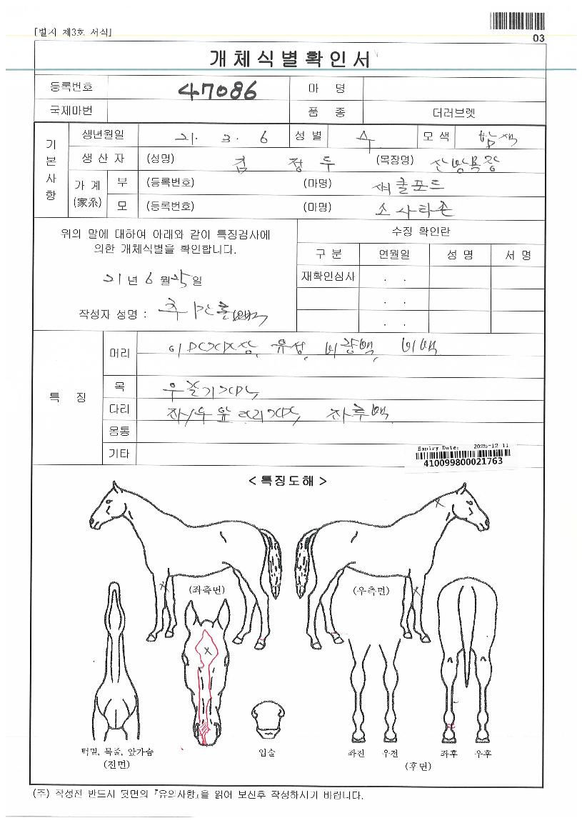 ¼¨Å¬Á¸ÀÇ Ãø¸é,¿ì¸é,µÞ¸é,µÎ»ó,´Ù¸®ÀÇ Æ¯Â¡µµÇØ