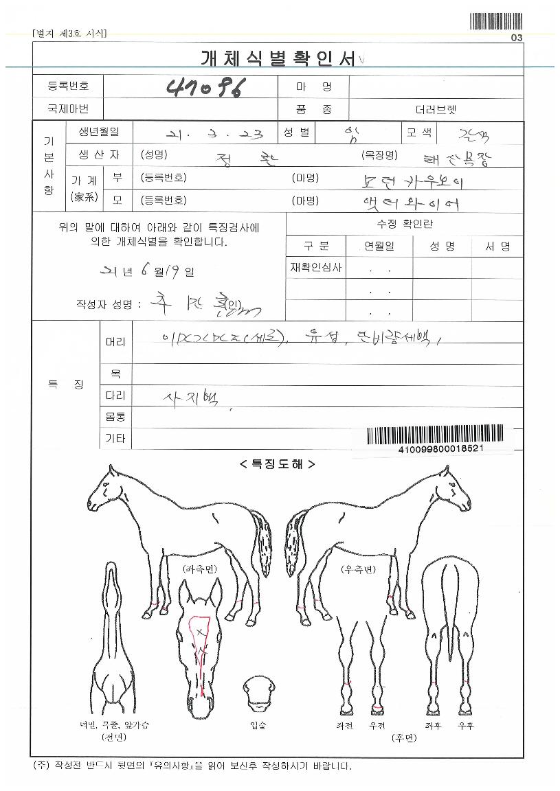 ÆÇŸ½ºÆ½·çºñÀÇ Ãø¸é,¿ì¸é,µÞ¸é,µÎ»ó,´Ù¸®ÀÇ Æ¯Â¡µµÇØ