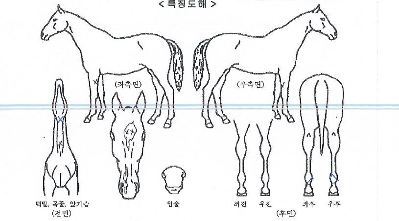 ����Ʈũ������ ����,���,�޸�,�λ�,�ٸ��� Ư¡����