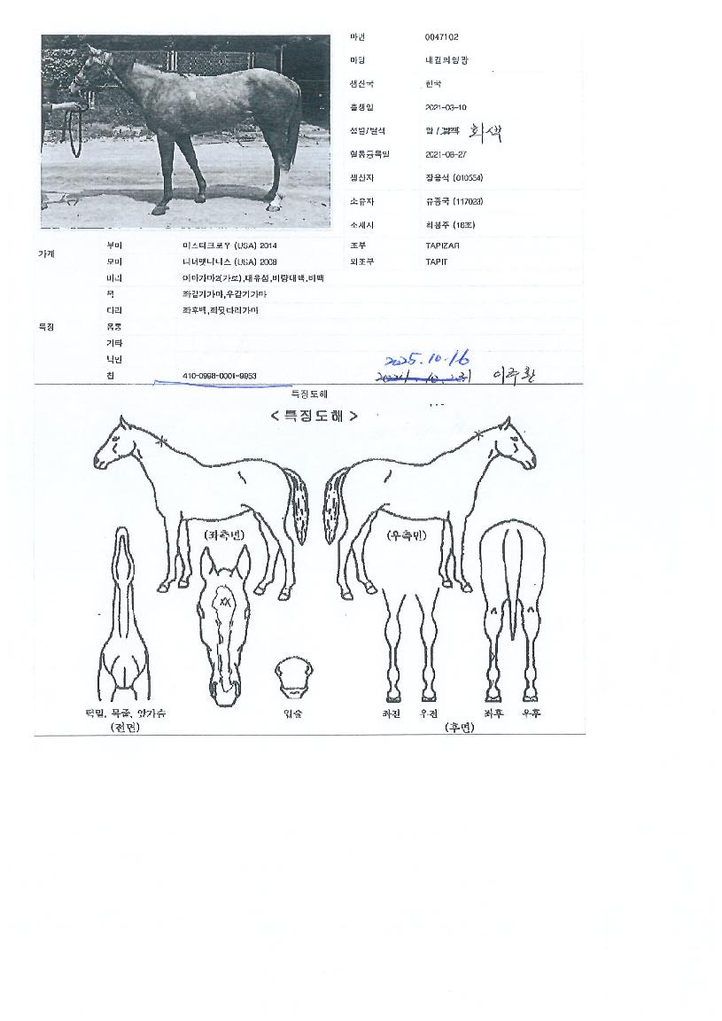 ³»±æÀÇ¿µ±¤ÀÇ Ãø¸é,¿ì¸é,µÞ¸é,µÎ»ó,´Ù¸®ÀÇ Æ¯Â¡µµÇØ