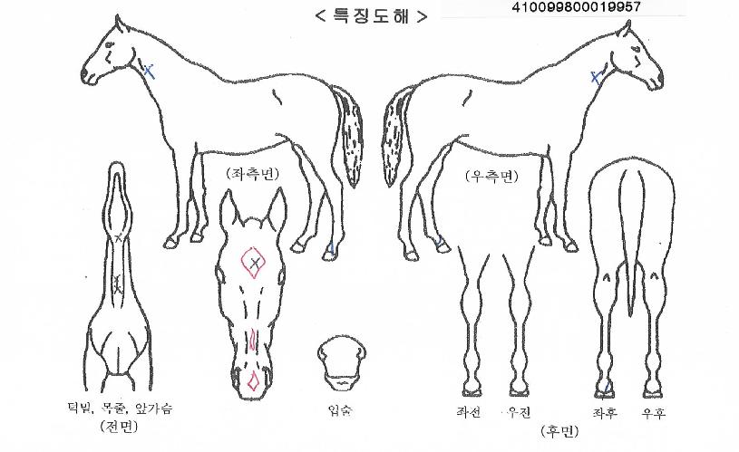 ��Ŭ���������� ����,���,�޸�,�λ�,�ٸ��� Ư¡����