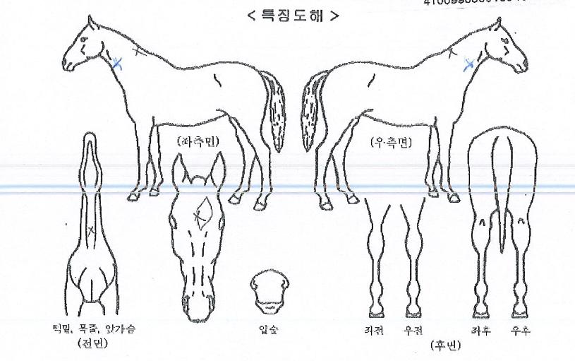 �ö��׷����� ����,���,�޸�,�λ�,�ٸ��� Ư¡����