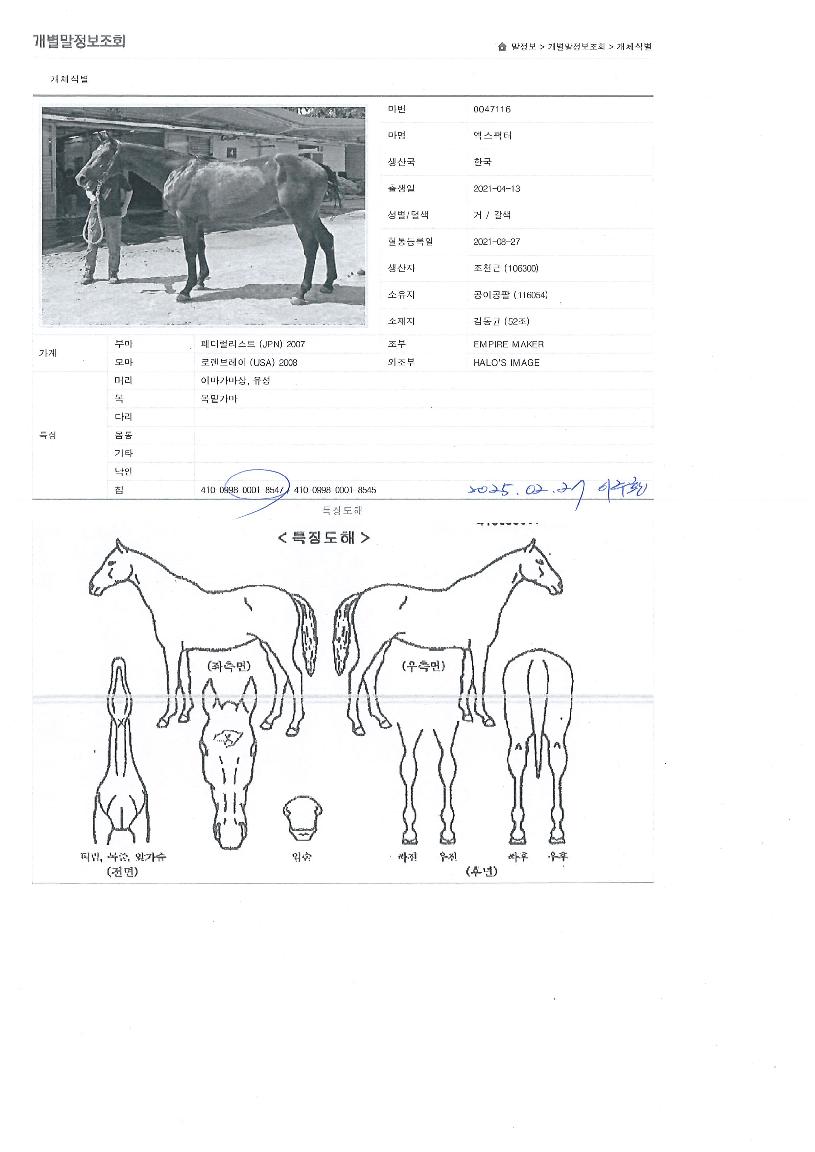 ���������� ����,���,�޸�,�λ�,�ٸ��� Ư¡����