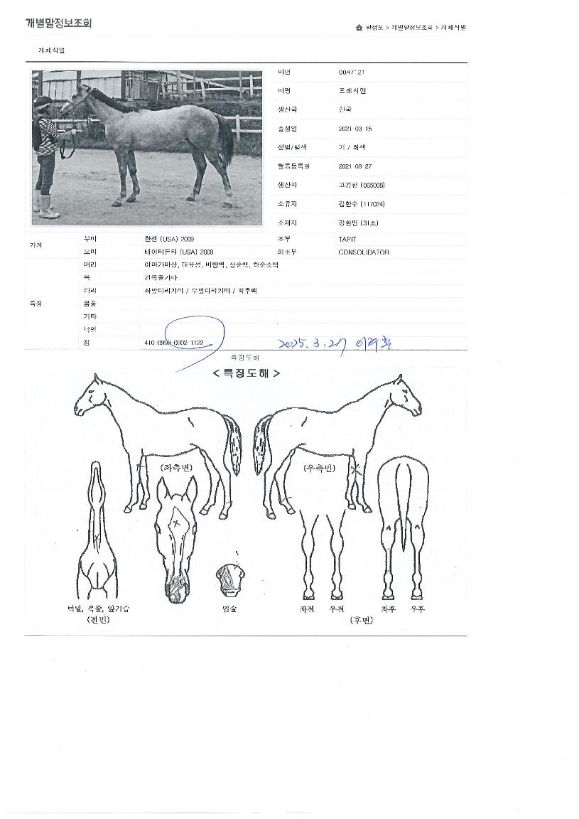 ÇÁ·¹½Ã¸ÇÀÇ Ãø¸é,¿ì¸é,µÞ¸é,µÎ»ó,´Ù¸®ÀÇ Æ¯Â¡µµÇØ