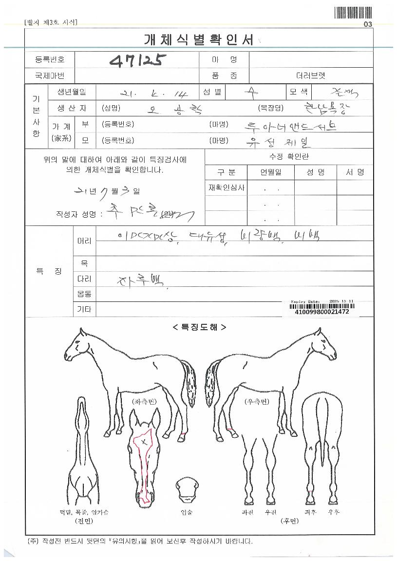 »è½º¿ÕÀÇ Ãø¸é,¿ì¸é,µÞ¸é,µÎ»ó,´Ù¸®ÀÇ Æ¯Â¡µµÇØ