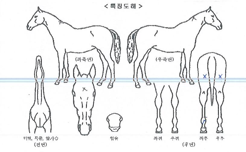 ¼Õ¿¡¼ÕÀâ°íÀÇ Ãø¸é,¿ì¸é,µÞ¸é,µÎ»ó,´Ù¸®ÀÇ Æ¯Â¡µµÇØ