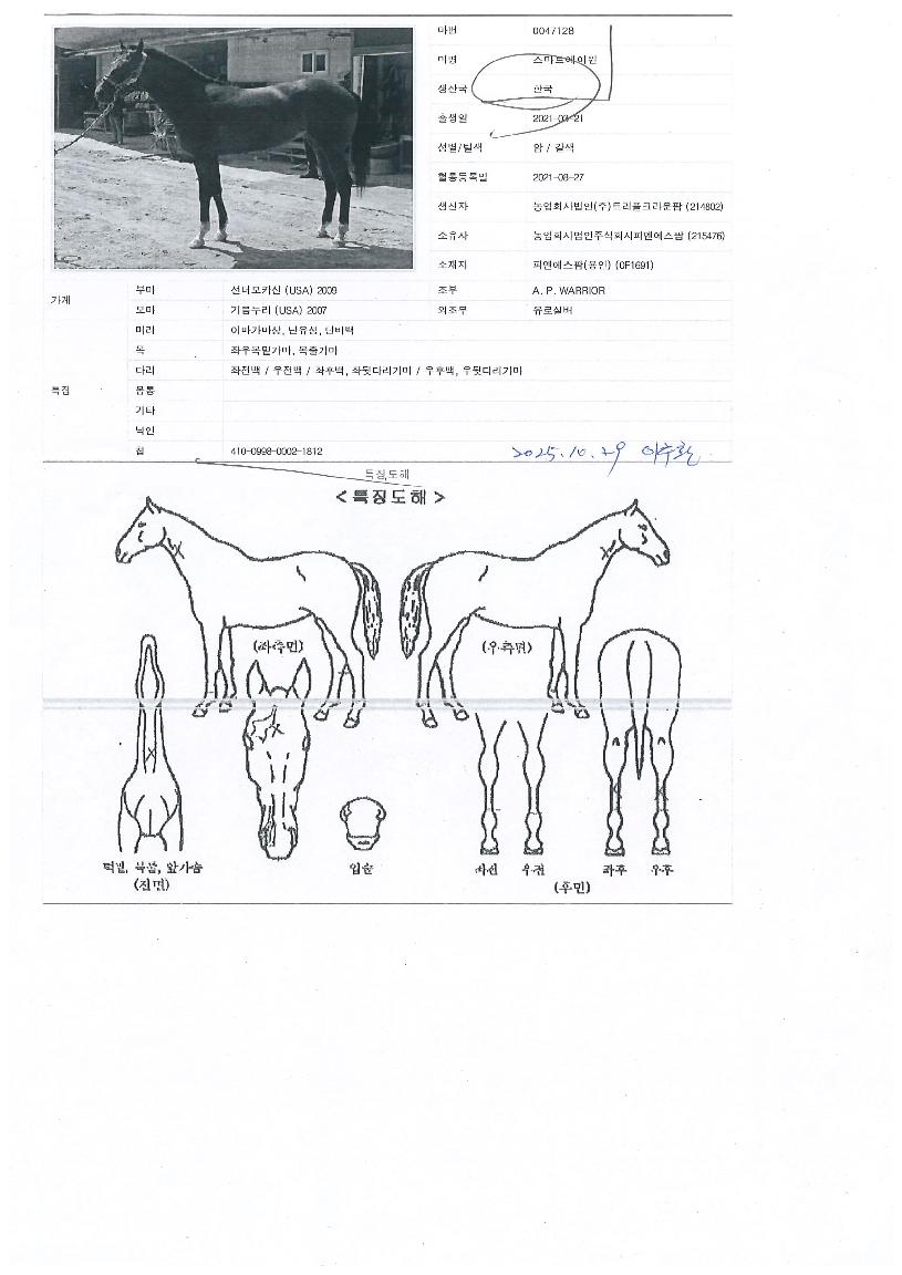 ����Ʈ���̿��� ����,���,�޸�,�λ�,�ٸ��� Ư¡����