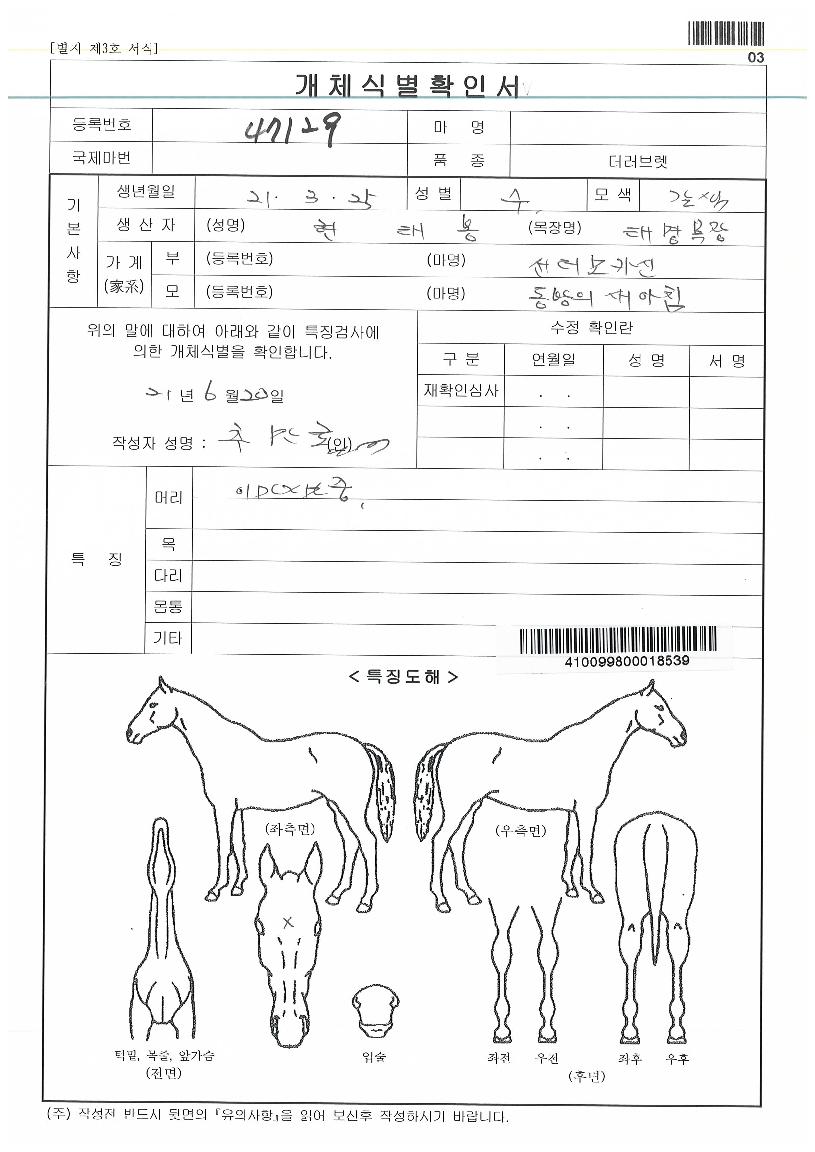 �ϴø����� ����,���,�޸�,�λ�,�ٸ��� Ư¡����