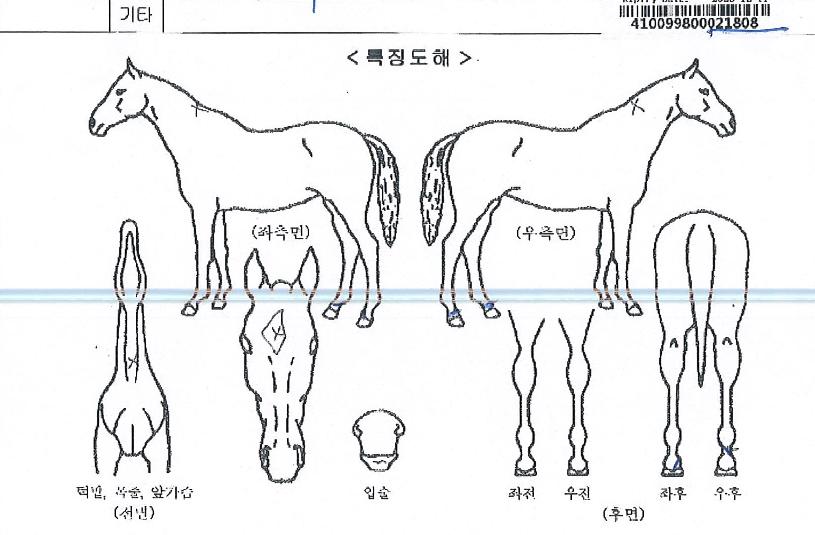 °ñµå½Ã´ëÀÇ Ãø¸é,¿ì¸é,µÞ¸é,µÎ»ó,´Ù¸®ÀÇ Æ¯Â¡µµÇØ