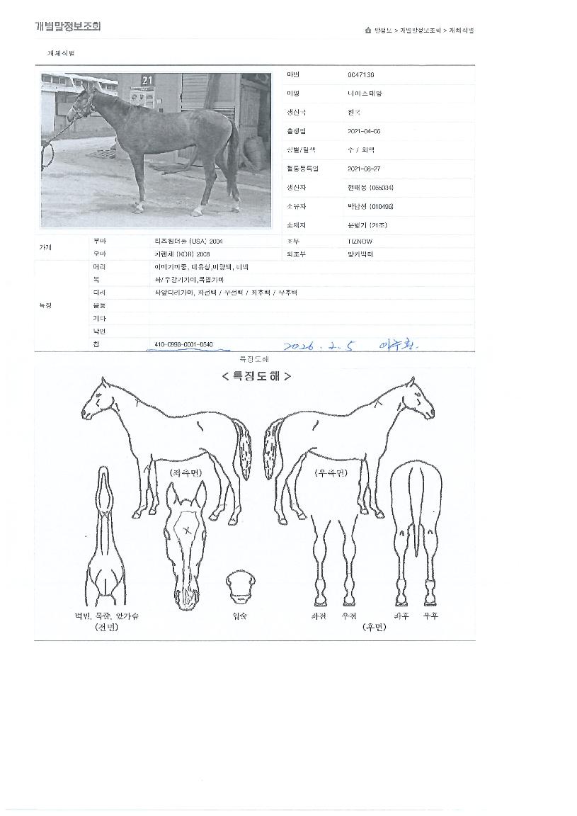 ³ªÀ̽ºÅ¾çÀÇ Ãø¸é,¿ì¸é,µÞ¸é,µÎ»ó,´Ù¸®ÀÇ Æ¯Â¡µµÇØ